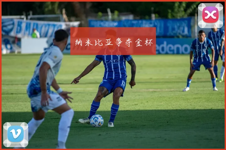 纳米比亚争夺金杯