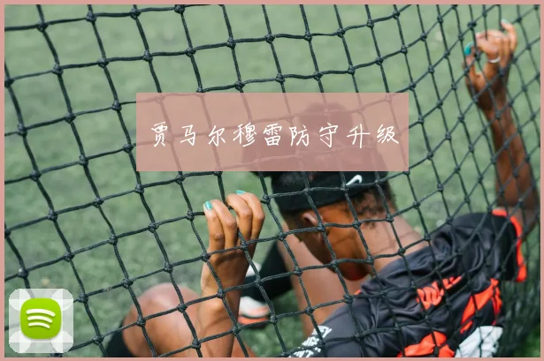 贾马尔穆雷防守升级