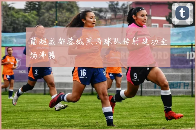 葡超成都蓉城黑马球队传射建功全场沸腾