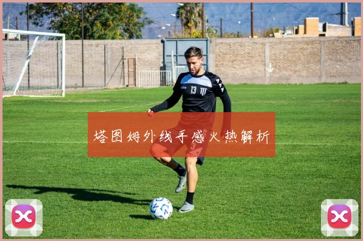 塔图姆外线手感火热解析