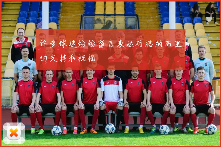 许多球迷纷纷留言表达对格纳布里的支持和祝福