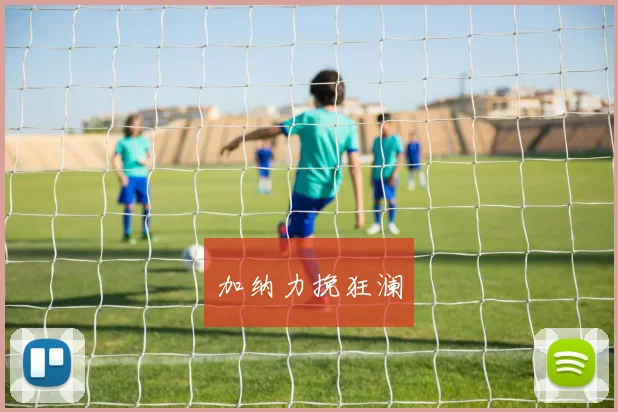 加纳力挽狂澜