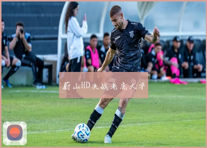 蔚山HD决战老虎大学