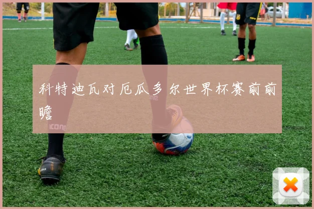 科特迪瓦对厄瓜多尔世界杯赛前前瞻