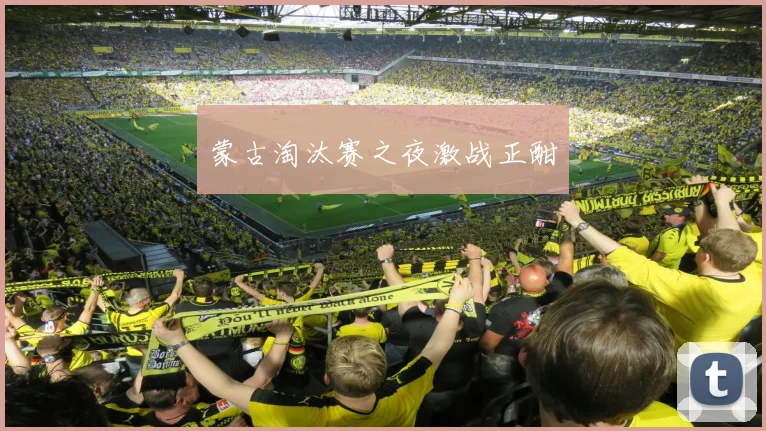 蒙古淘汰赛之夜激战正酣