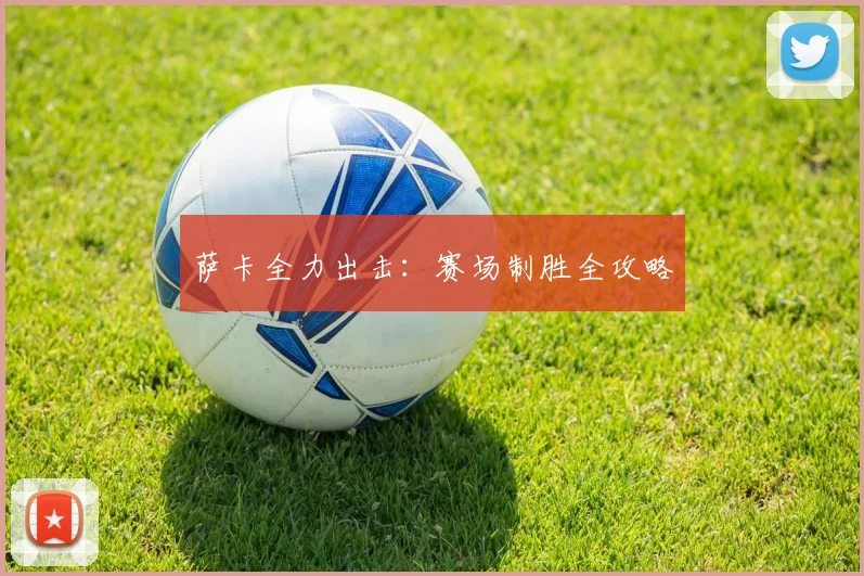 萨卡全力出击：赛场制胜全攻略