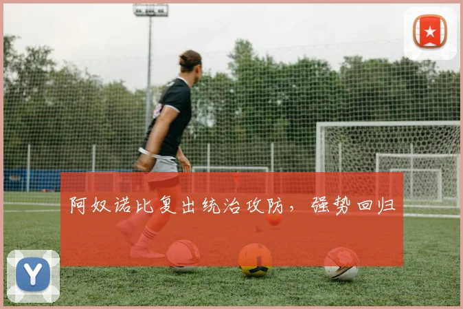 阿奴诺比复出统治攻防，强势回归