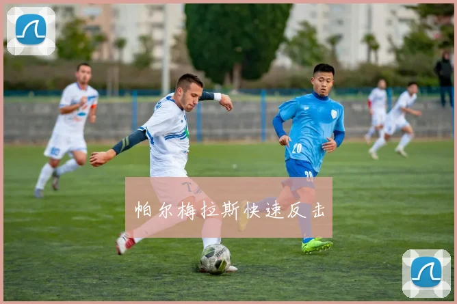 帕尔梅拉斯快速反击