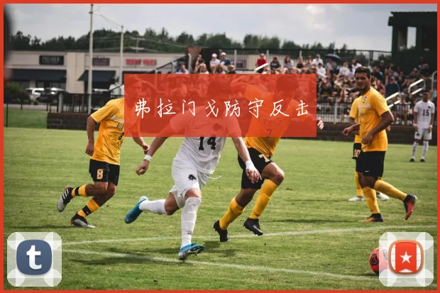 弗拉门戈防守反击