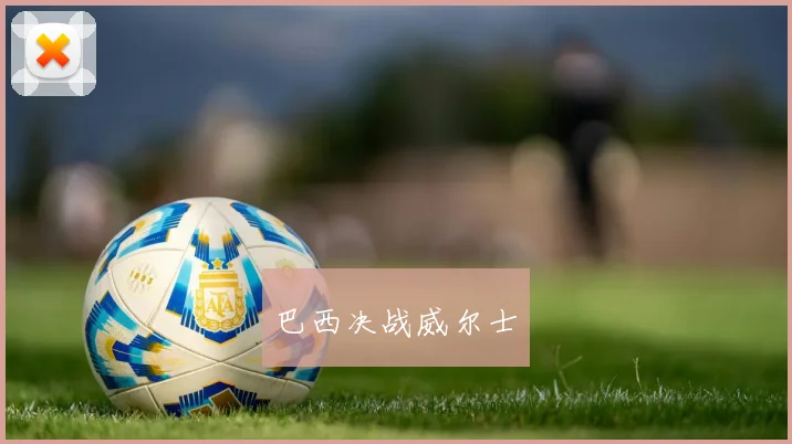 巴西决战威尔士