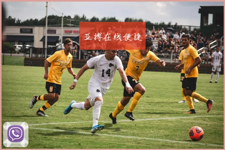 亚搏在线便捷