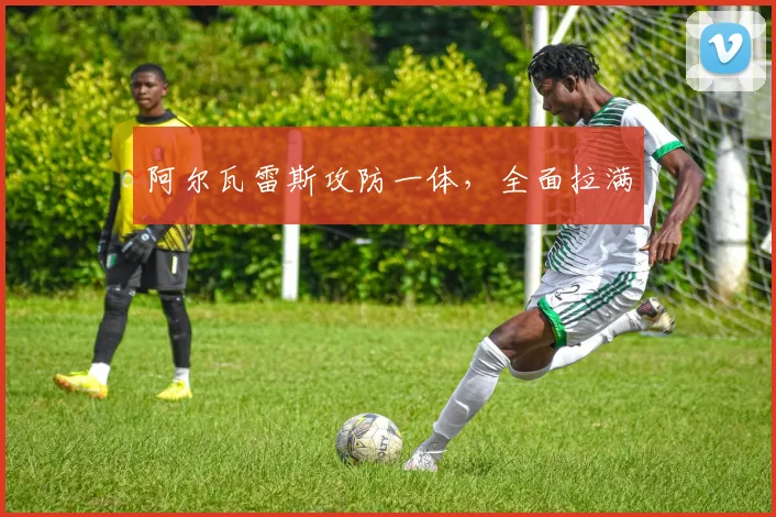 阿尔瓦雷斯攻防一体，全面拉满