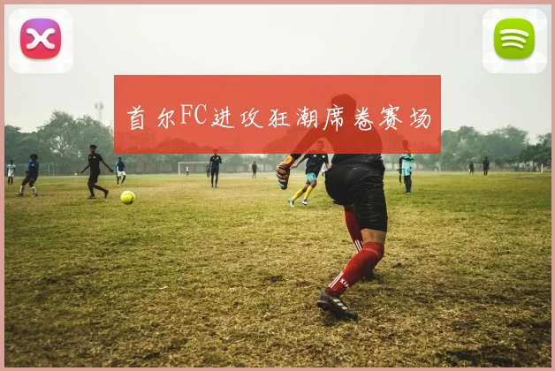 首尔FC进攻狂潮席卷赛场
