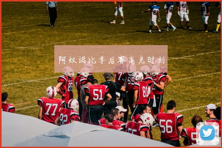 阿奴诺比季后赛高光时刻