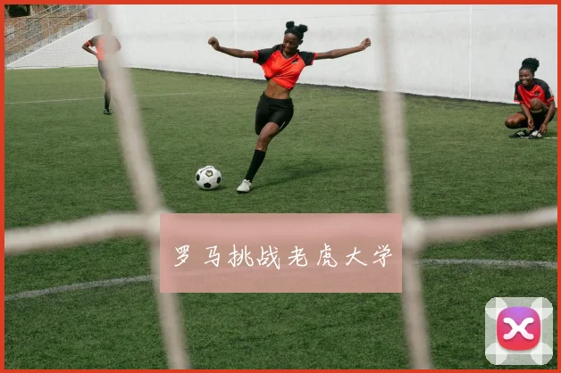 罗马挑战老虎大学