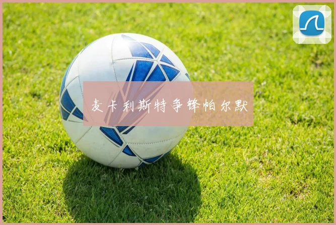麦卡利斯特争锋帕尔默