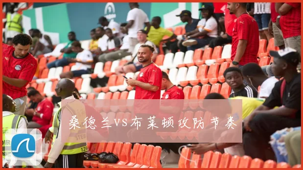 桑德兰vs布莱顿攻防节奏