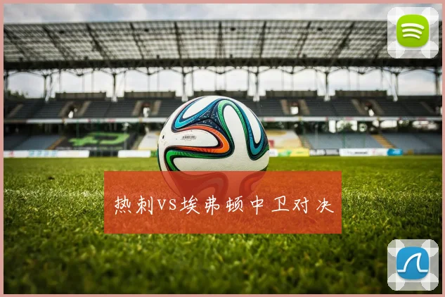热刺vs埃弗顿中卫对决
