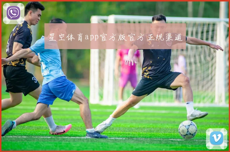 星空体育app官方版官方正规渠道